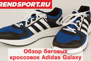 Обзор беговых кроссовок Adidas Galaxy