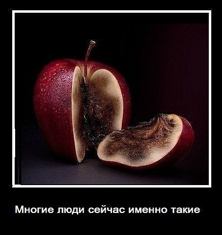 Виктор Викторов | Черкассы