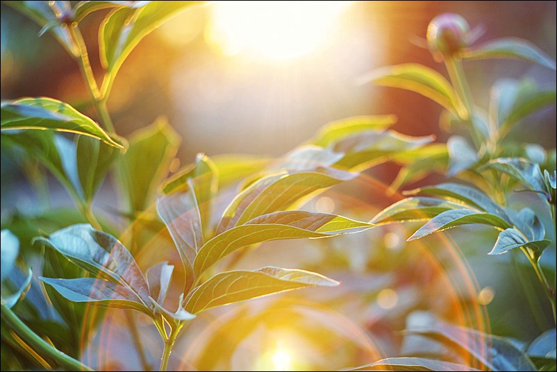 Сабина Ромовая ♥ | Тюмень