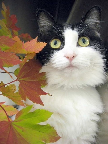 Лариса Клименко | Ухта