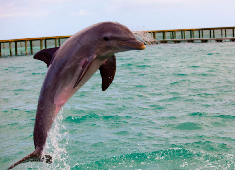 Мария Воронцова | Санкт-Петербург