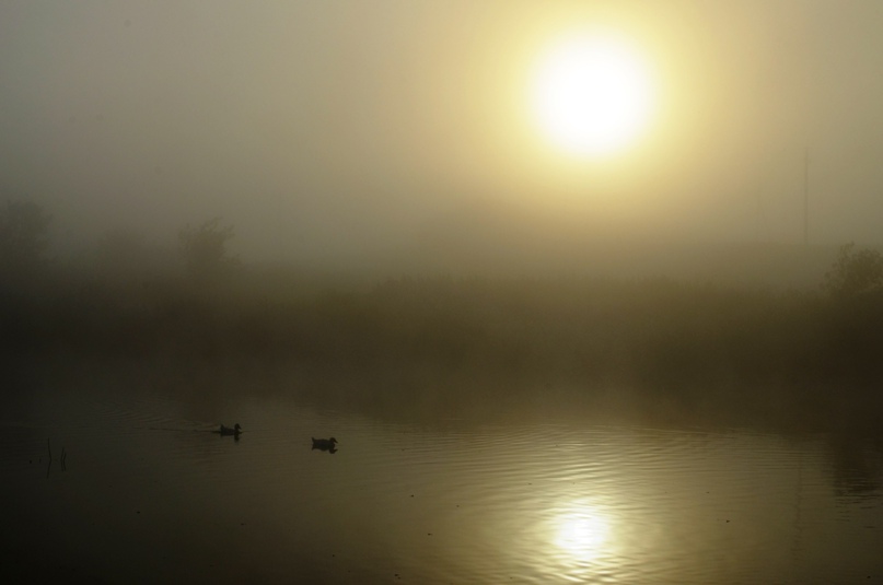 Катерина Катеринина | Челябинск