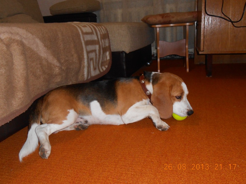 Лена Половникова | Новороссийск