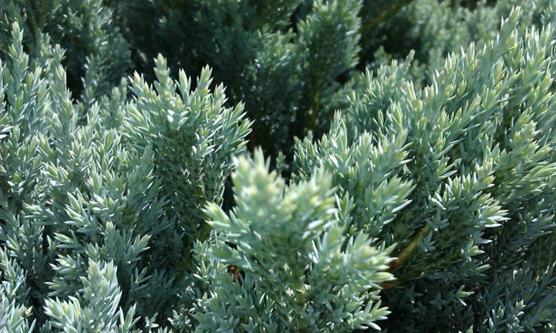 Саша Ветер | Одесса