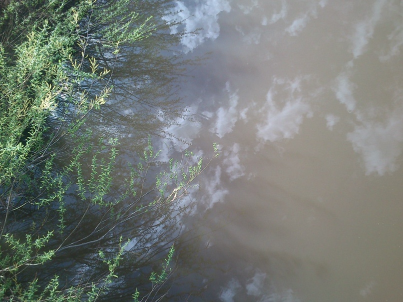 Аделина Хасанова | Октябрьское