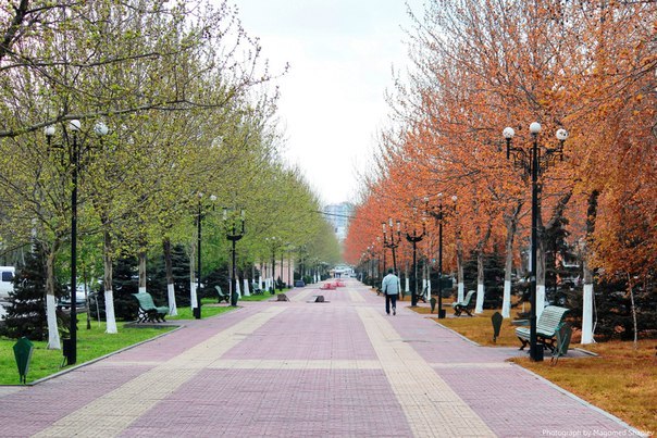 Два бабьих лета ждут осенью жителей Махачкалы АиФ Дагестан