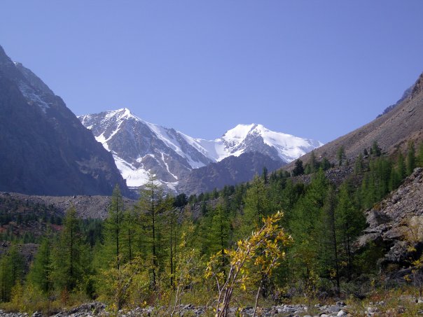 Ирина Гриценко | Новосибирск