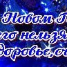 Елена Гладкая | Степановка
