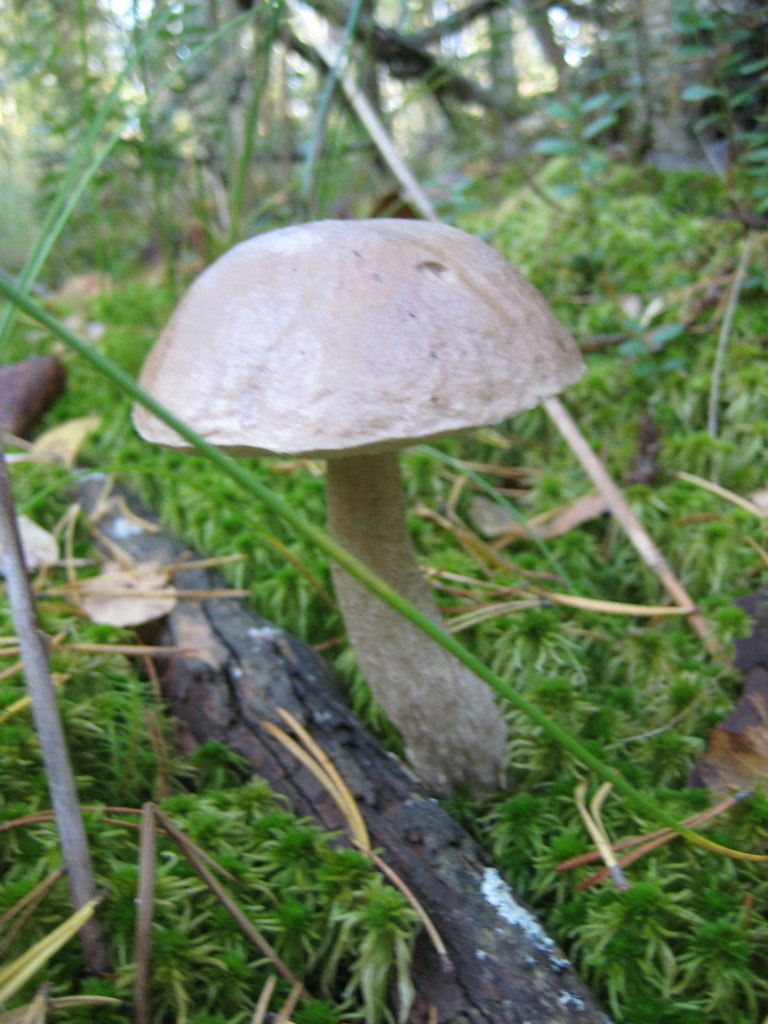 Татьяна Сидоренко | Санкт-Петербург