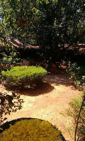 Елена Каримова | Киров