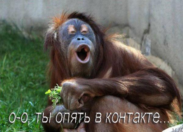 Дмитрий Лукьяненко | Санкт-Петербург