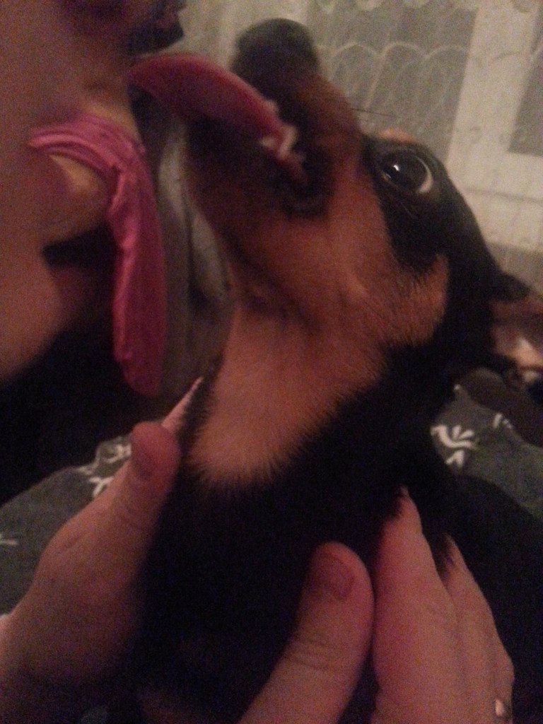 Анна Козловская | Минск