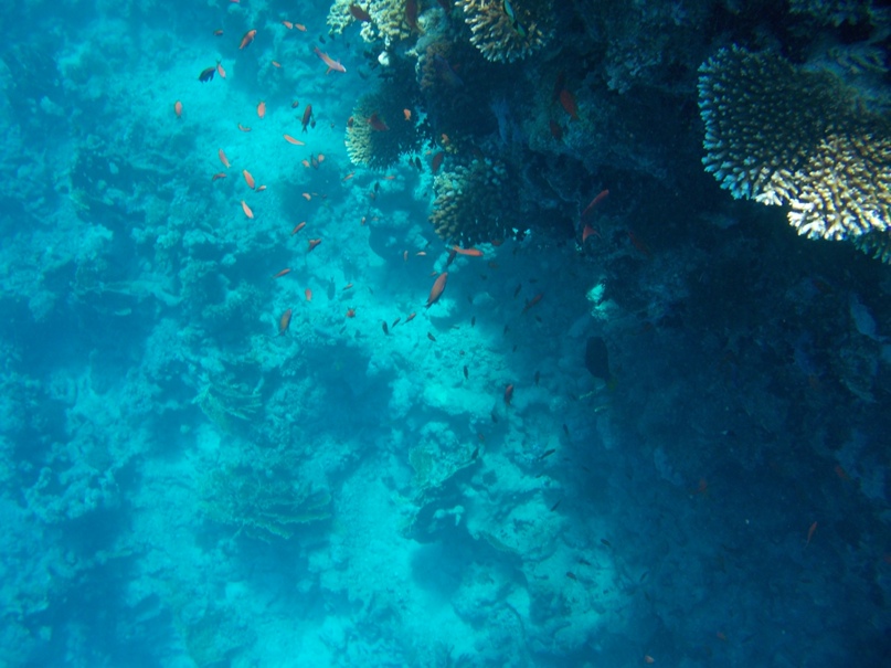 Александр Сугробов (by Alexander $) | Воронеж