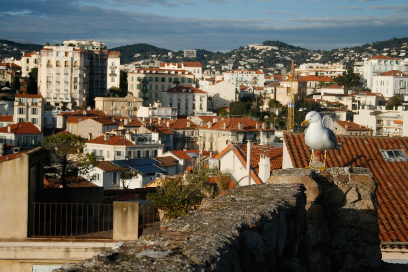 Ксения Ляпина | Санкт-Петербург