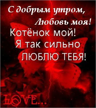 Ольга Колосова | Архангельск