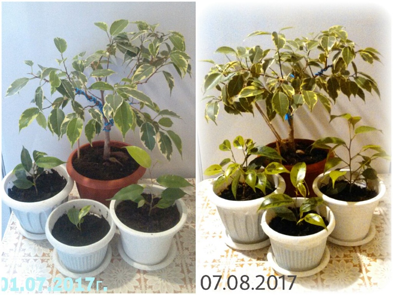 Ксения Рочева | Ижевск