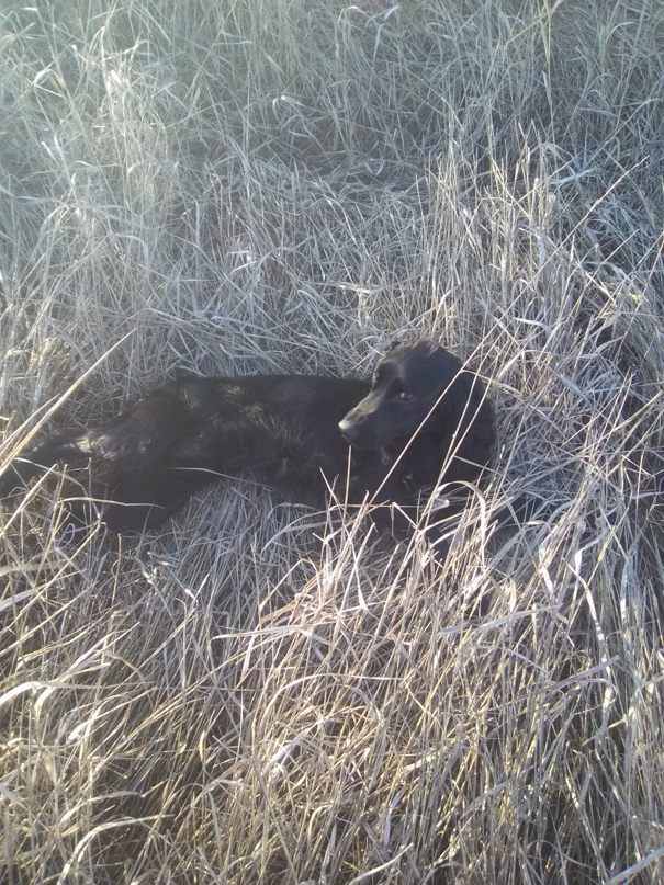 Виталий Перец | Шахтерск