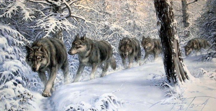 Александр Никитин | Сланцы