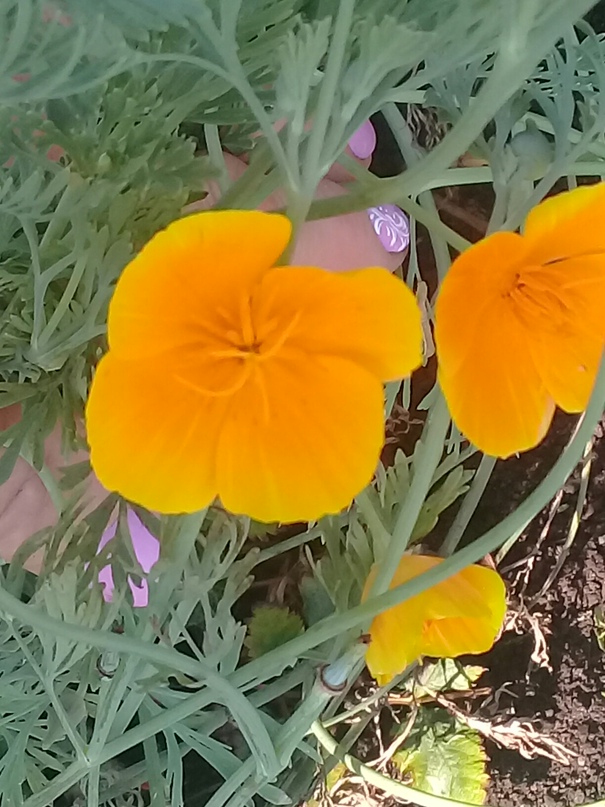 Вера Сергиенко | Санкт-Петербург