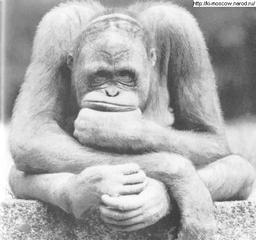 Саня Воронцов | Йошкар-Ола