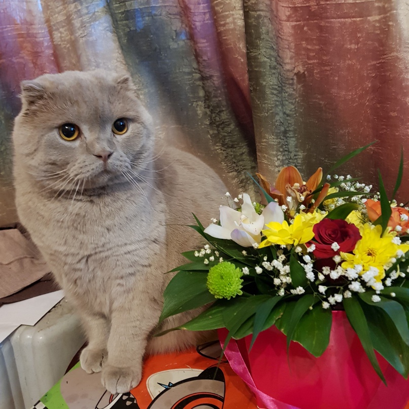 Анжелика Скорнякова | Одесса