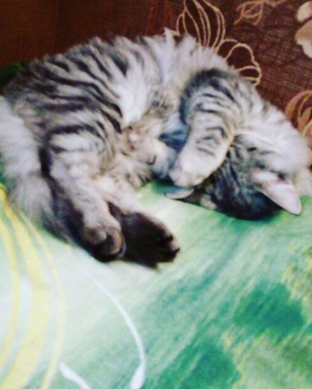 Светлана Полякова | Москва