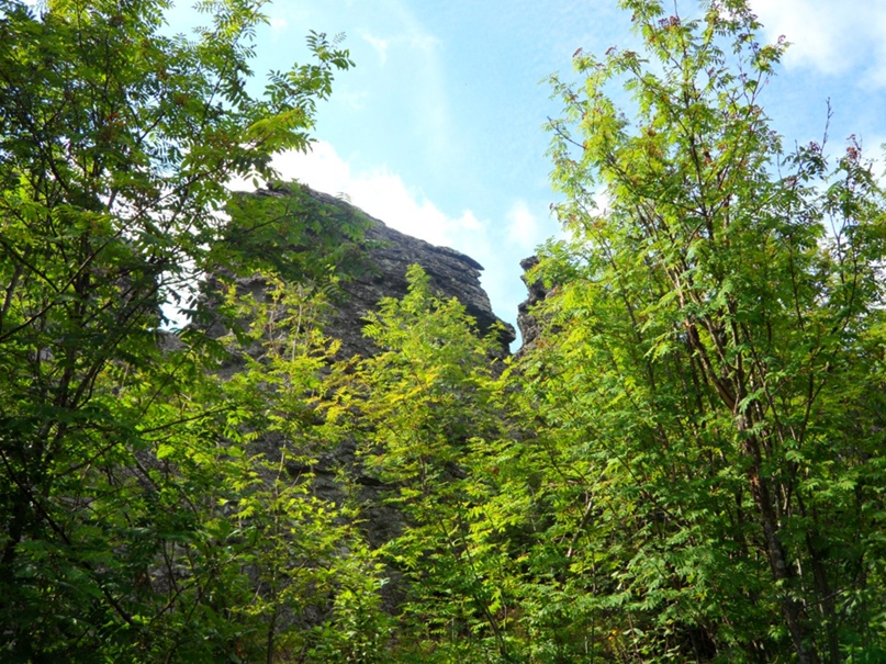 Анастасия Катаева | Москва