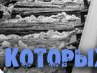 Алёна Черникова | Москва