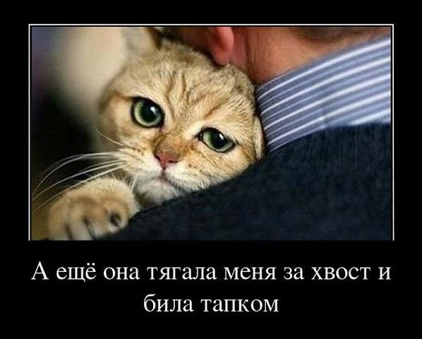 Дмитрий Кураков | Киев