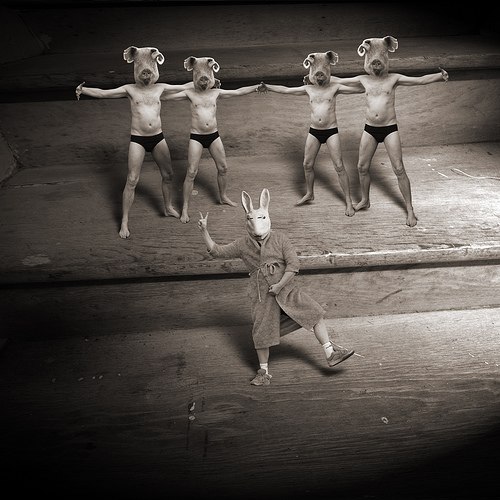 White Rabbit | San Francisco