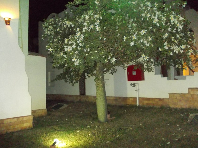 Дмитрий Позняк | Минск