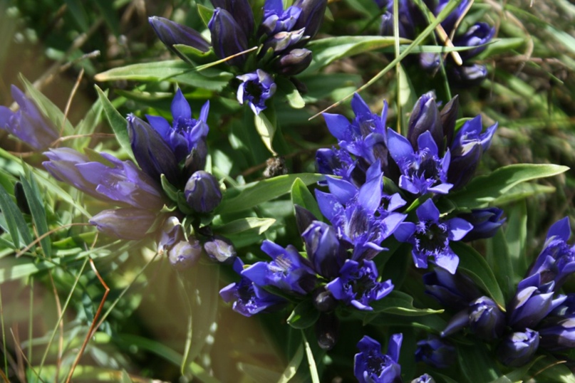 Виктор Клишин | Сочи