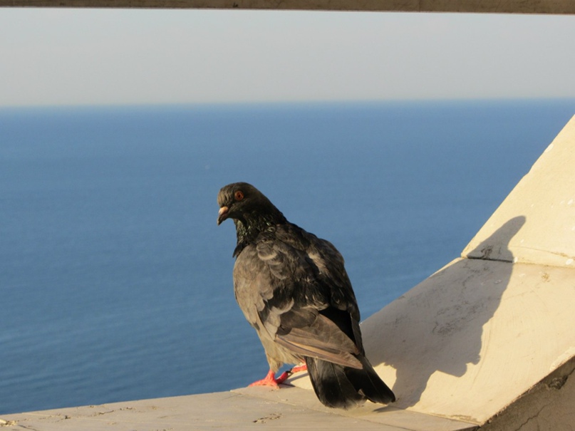 Марина Осипова | Красноярск