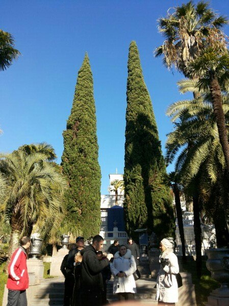 Николай Федченко |