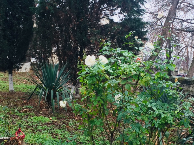 Ольга Сбоева | Санкт-Петербург