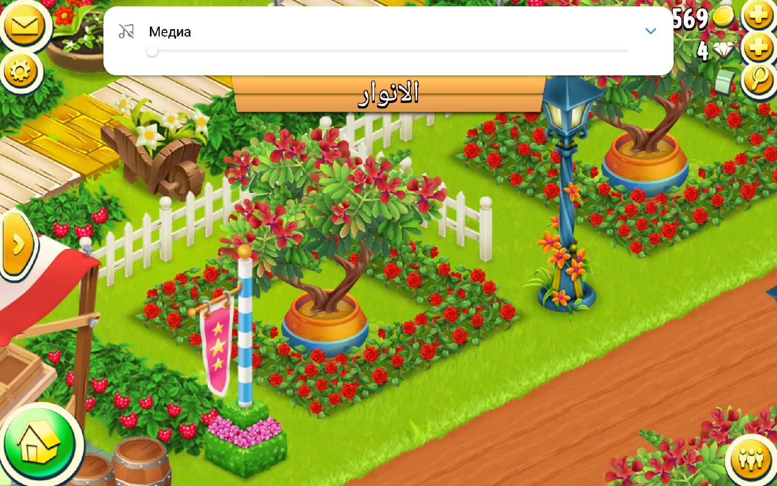 Здравствуйте, скажите пожалуйста, где можно купить вот такое дерево в горшке?