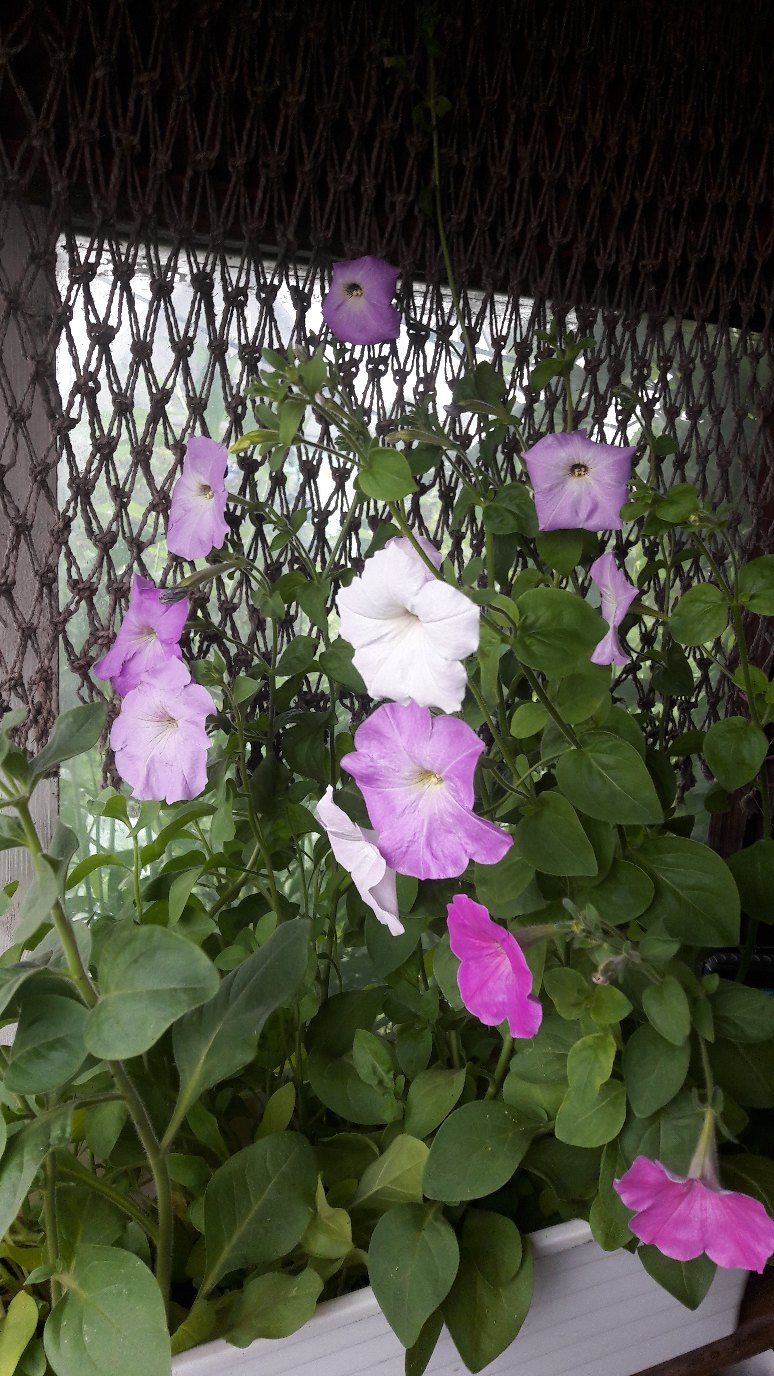 Ирина Ден | Красноярск