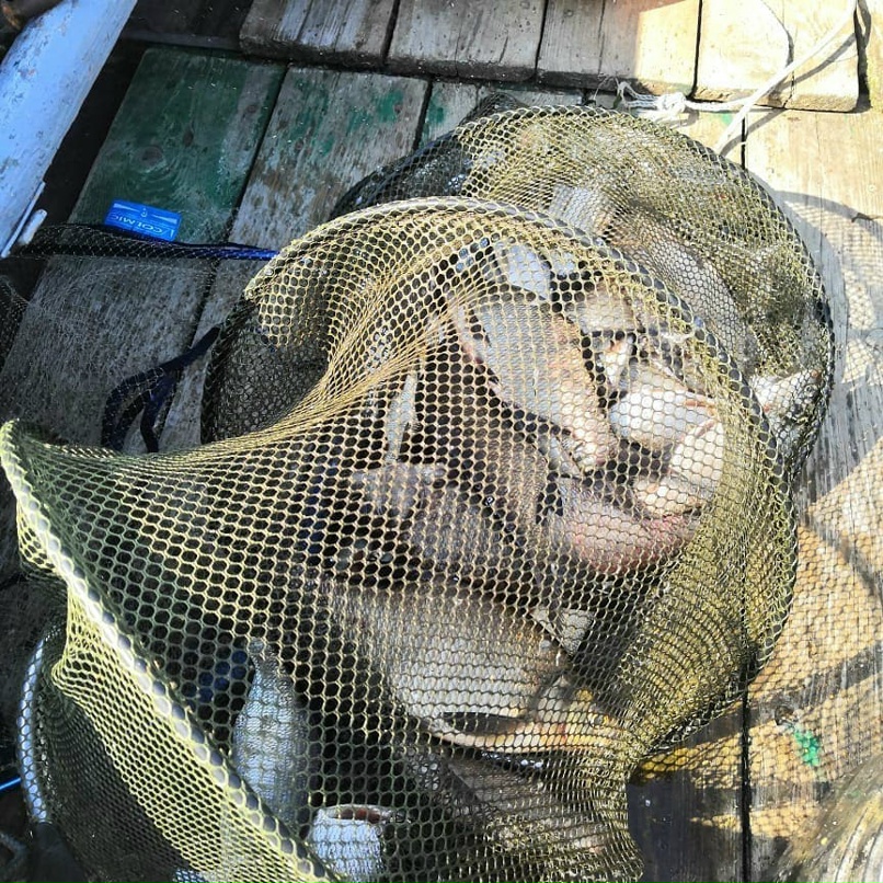 Вячеслав Раевский | Москва