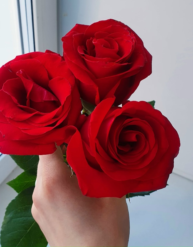 Анастасия Рассказова | Новосибирск