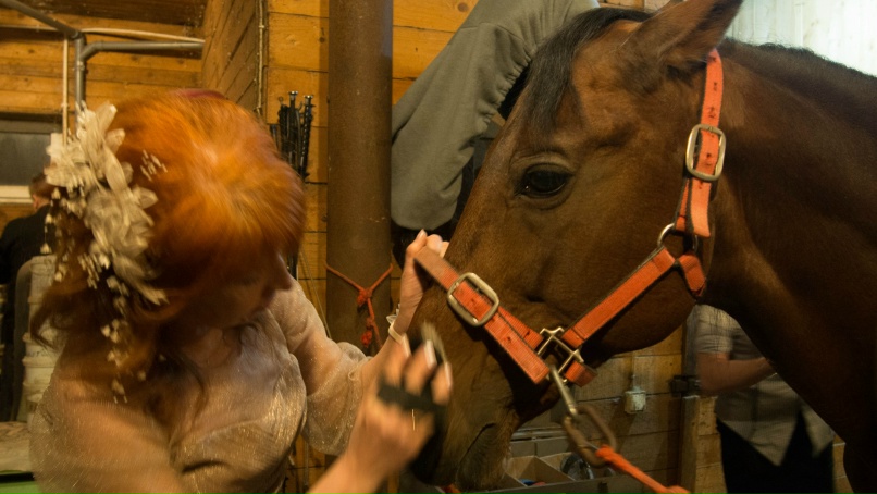 Елена Честнова | Санкт-Петербург