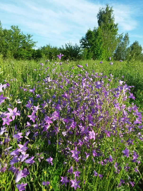Ирина Крючкова | Фрязино