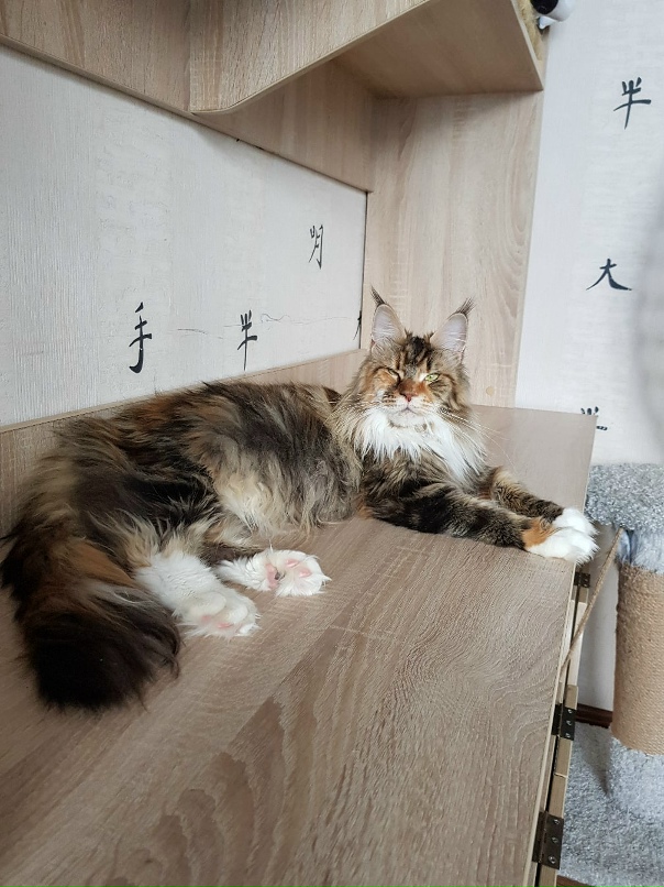 Виталий Баландин | Иркутск