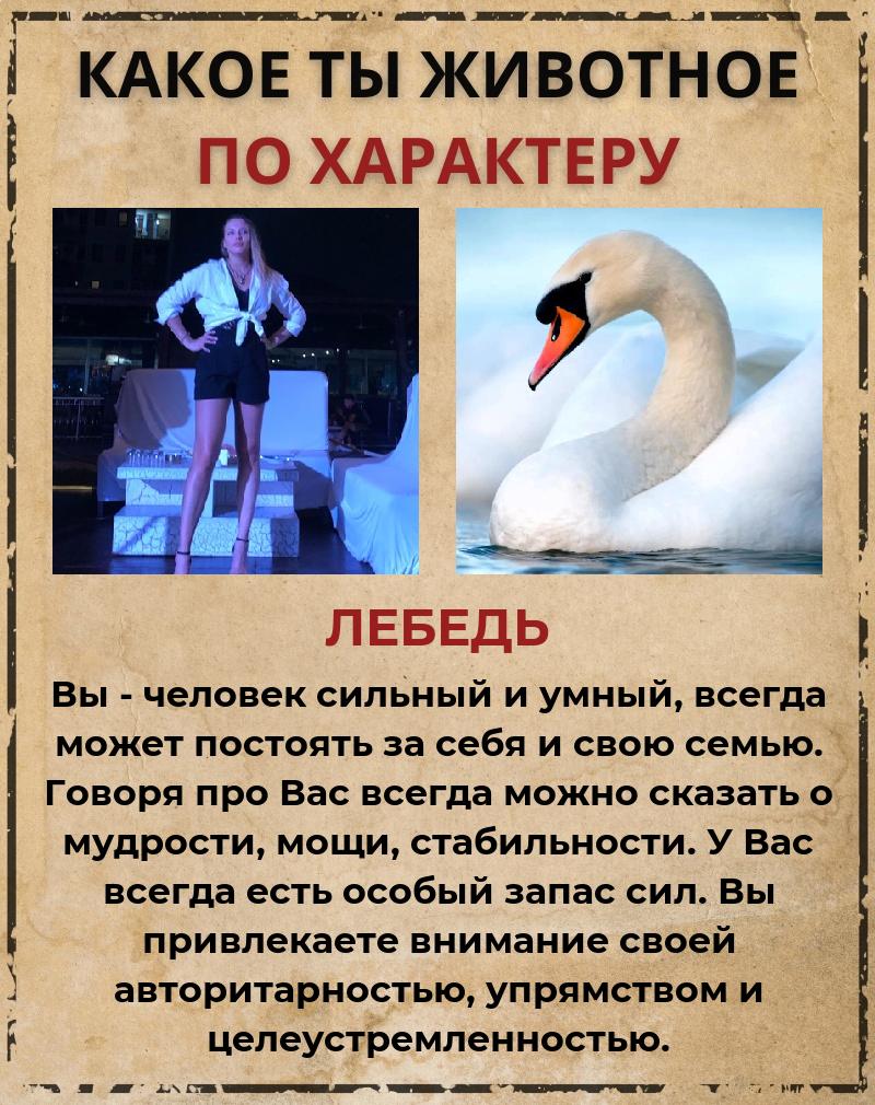 Полина Фурсова | Новосибирск