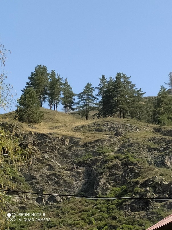 Людмила Котлярова | Новосибирск