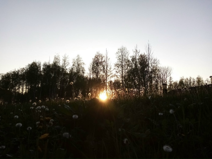 Юлия Зиновьева | Смоленск