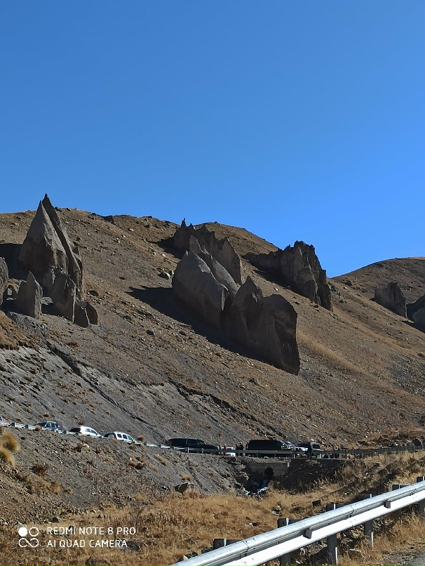 Инна Плотникова | Великий Новгород