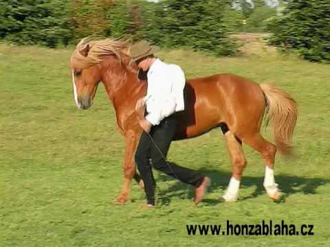 Honza Bláha a