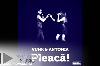 VUNK feat Antonia - Pleaca