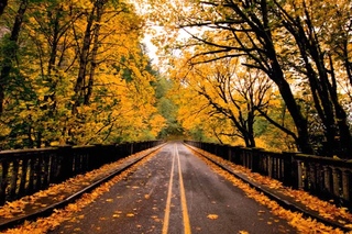 Andrey Korolev - Memories (2012) (Autumn  HD)