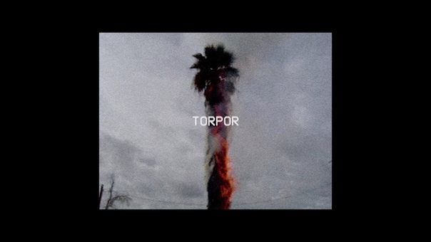 palence torpor